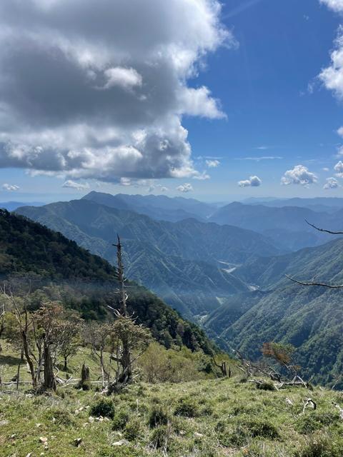 山梨の山、清水の山のサムネイル画像