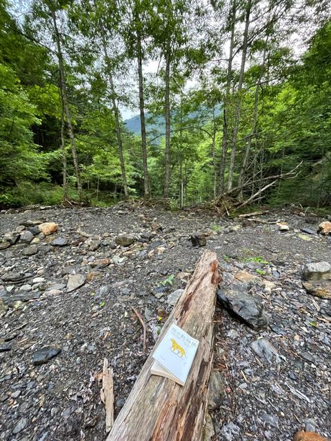 小さいのは結局・・・誰?_image