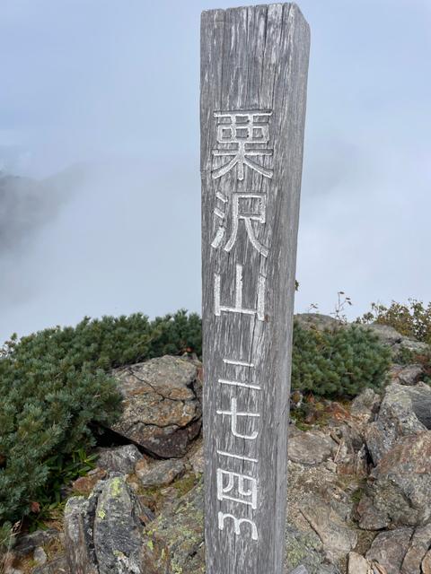 小屋から山頂まで行けました_image