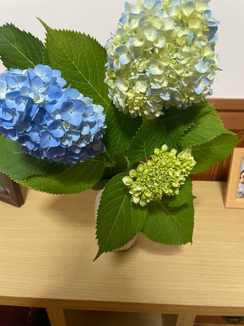 父、急回復⤴のサムネイル画像