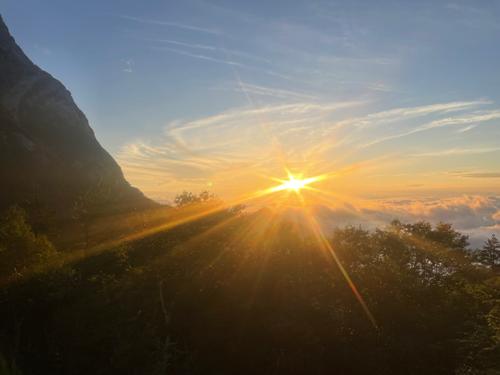 ふたりの友人_image