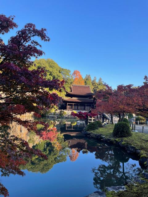 多治見に行ってましたのサムネイル画像