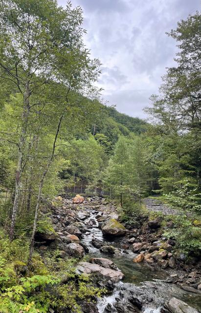 また来ていますのサムネイル画像