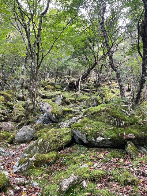 ちょっと山へのはずが、、、_image