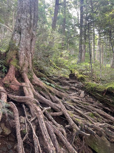 読書と山と_image