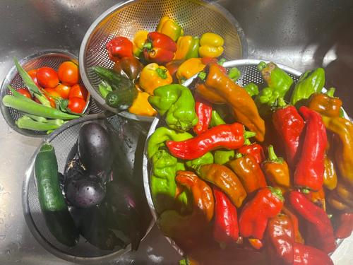 多治見に滞在24時間_image