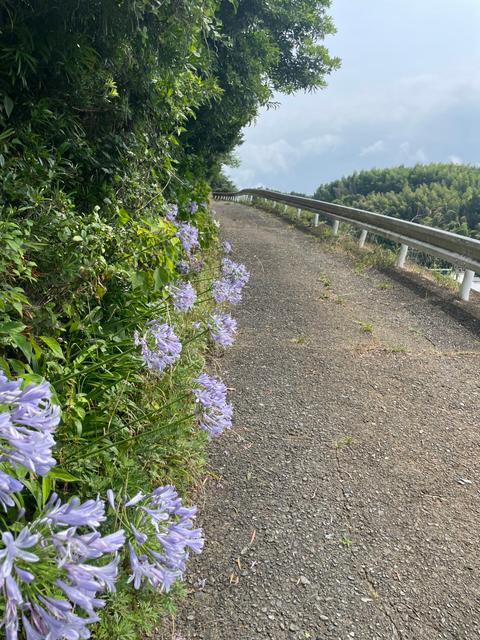 骨盤底は観ていきたいところのサムネイル画像