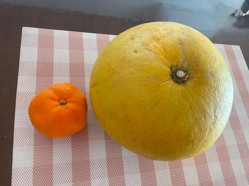 お昼を一緒に_image