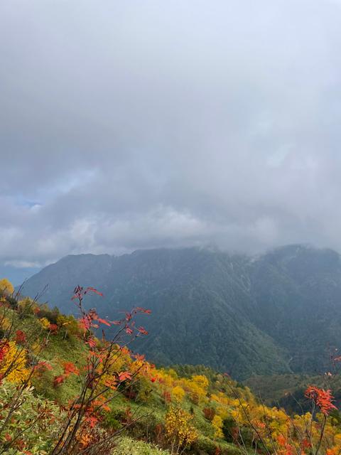 膝痛はヨガで克服！_image